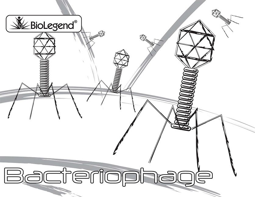 Virus Coloring Pages Biolegend Legendary Coloring Book Download Virus Coloring Pages Biolegend Legendary Coloring Book Download
