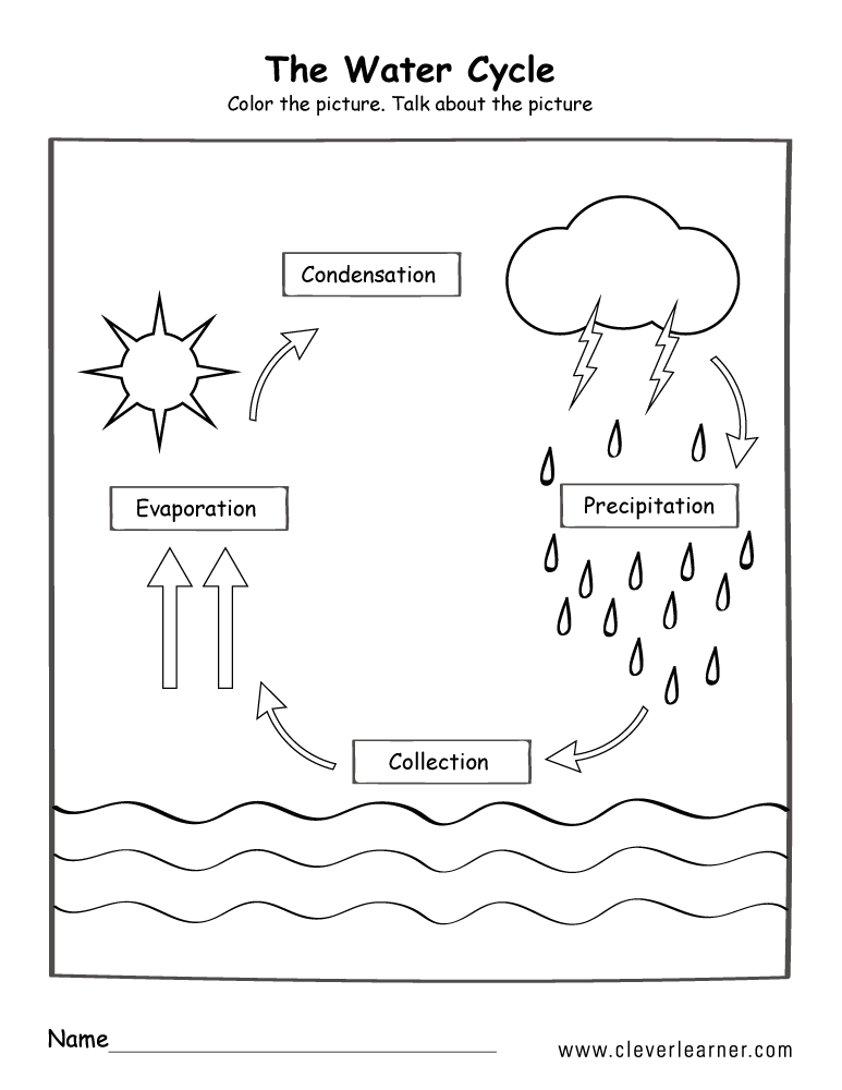 Water Cycle Printable  2797013