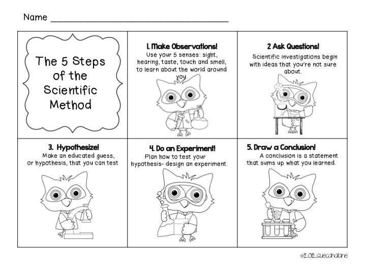13 Best Scientific Method Images On Free Worksheets Samples