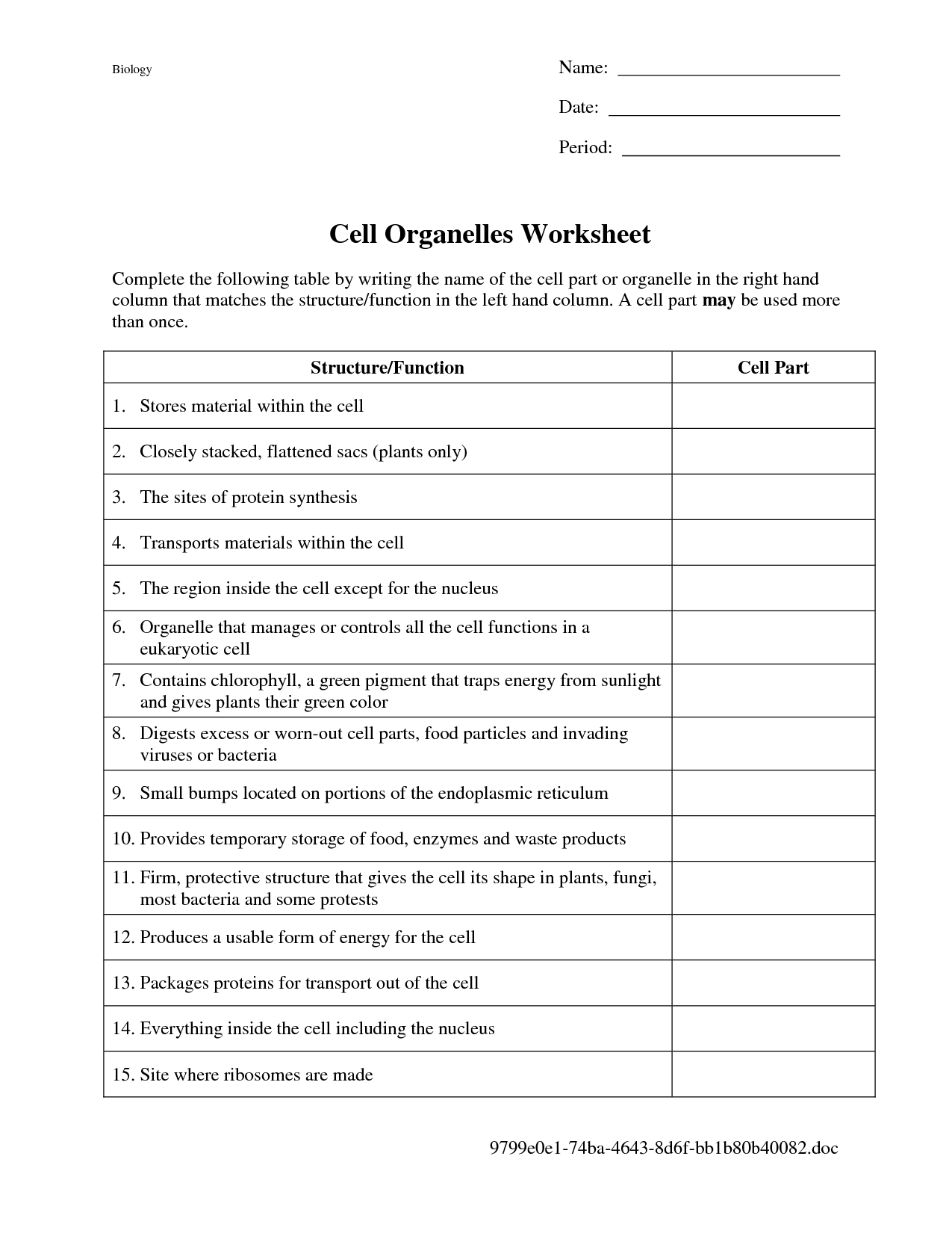 15 Best Images Of Cell Organelles 7th Grade Worksheets