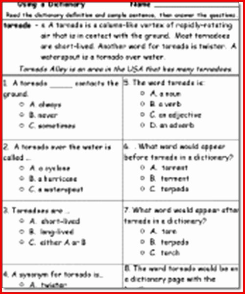 Free 3rd Grade Reading Comprehension Worksheets Multiple Choice Pdf
