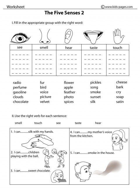 5 Senses Worksheets Pdf