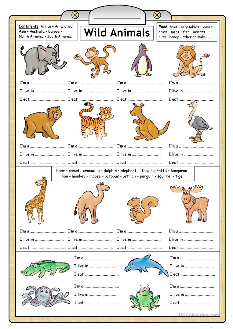 Animals Worksheets The Best Worksheets Image Collection