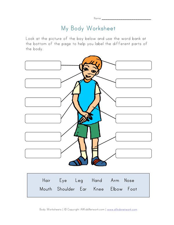 Body Parts Worksheet For Kids