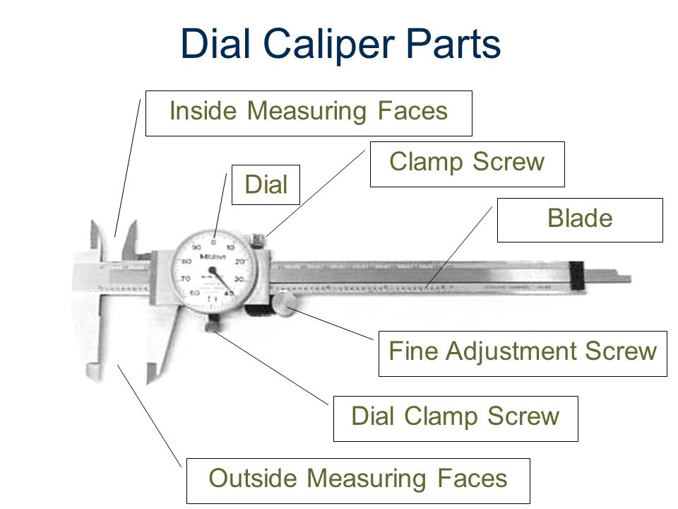 Caliper Worksheet  Worksheet  Free Printable Worksheets