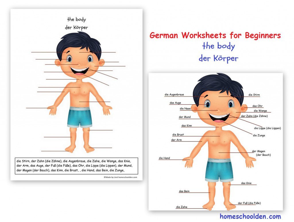Collection Of Printable German Worksheets For Kindergarten