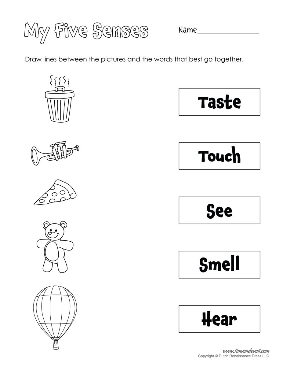 Collection Of Worksheets For Preschoolers On The Five Senses