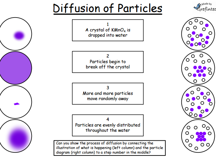 Diffusion Worksheets Middle School