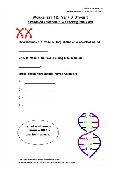 Dna Worksheets For High School
