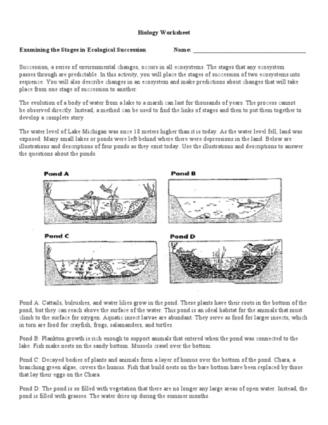 Ecological Succession Worksheet Answers Collection Of Ecological