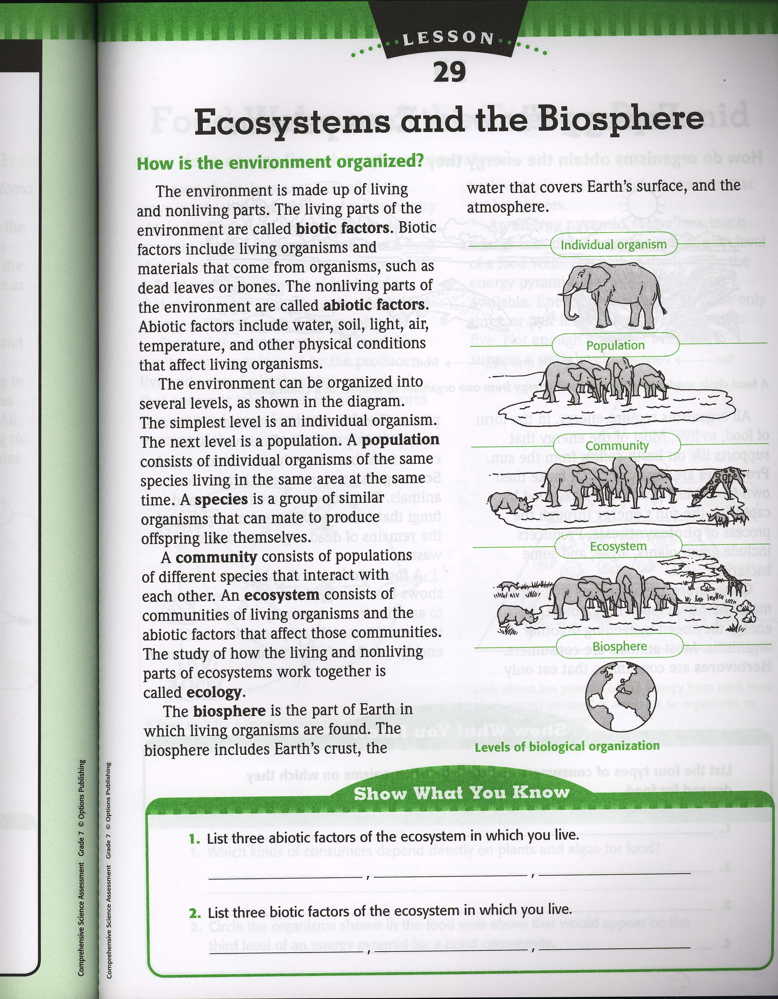 Ecology Levels Of Organization Worksheet The Best Worksheets Image