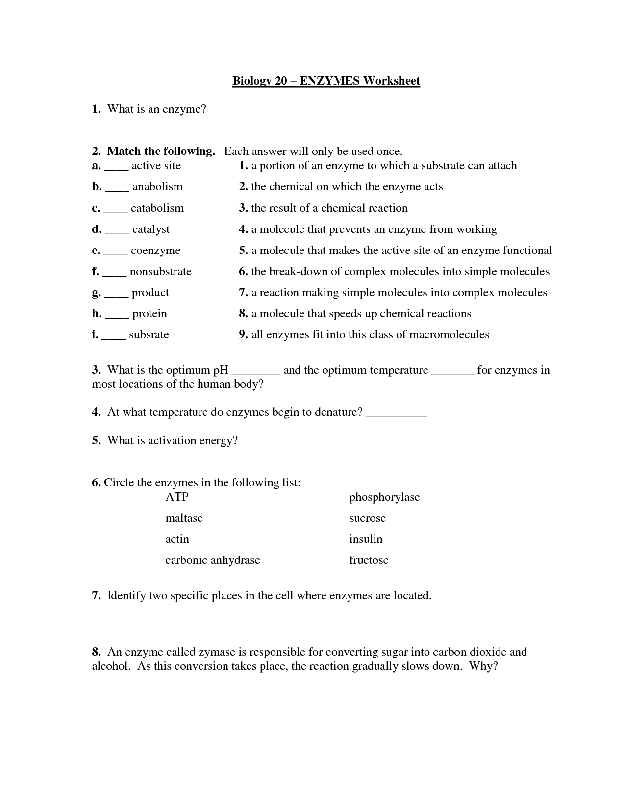 Enzyme Worksheet High School Free Worksheets Samples