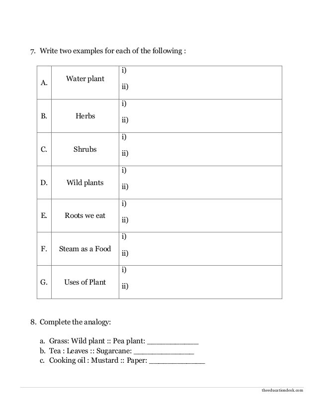 Evs Worksheets For Class 1 Air