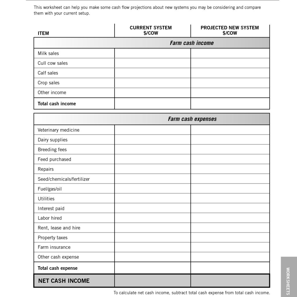 Hcs 405 Wk2 Patton Fuller Income Statement Worksheet Term Paper