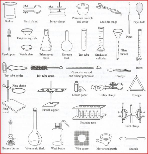 Science Laboratory Equipment Worksheet