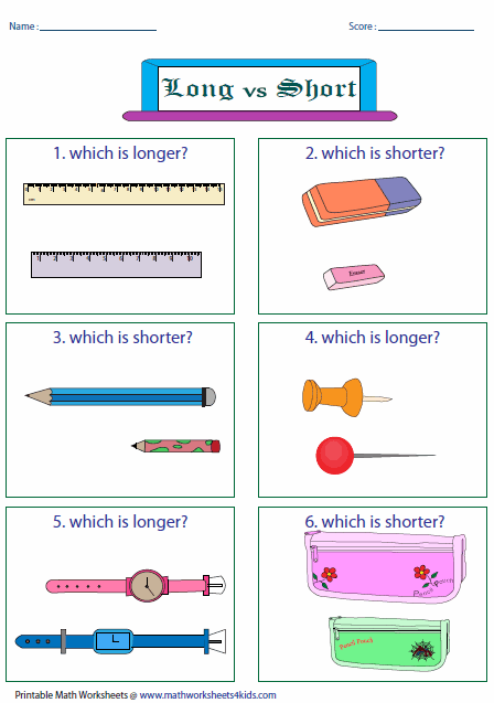 Long Vs Short  Classroom Theme