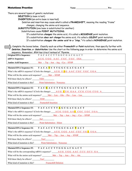 Mutations Worksheet Mutations Worksheet Answers Worksheets For All