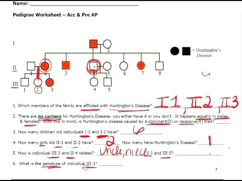 Pedigree Worksheet Answers Genetics Pedigree Worksheet Genetics