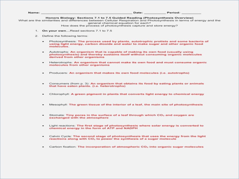 Photosynthesis Making Energy Worksheet Answers Choice Image Free Photosynthesis Making Energy Worksheet Answers Choice Image Free