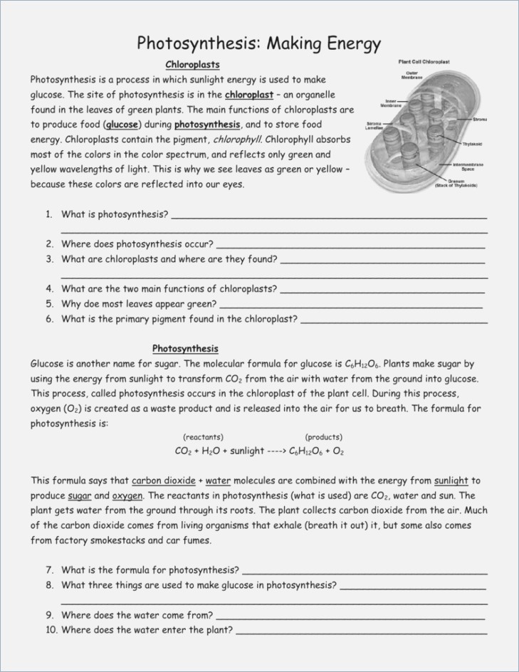 Photosynthesis Making Energy Worksheet Answers Choice Image | Free