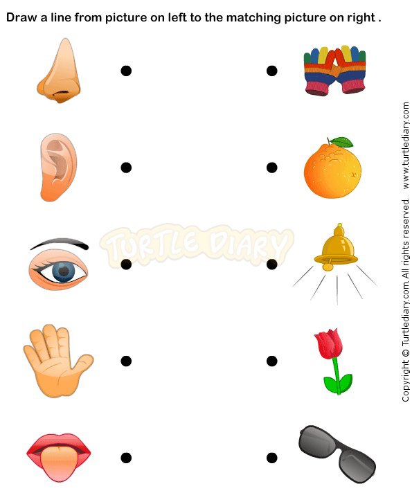 Worksheets For Pre Kg