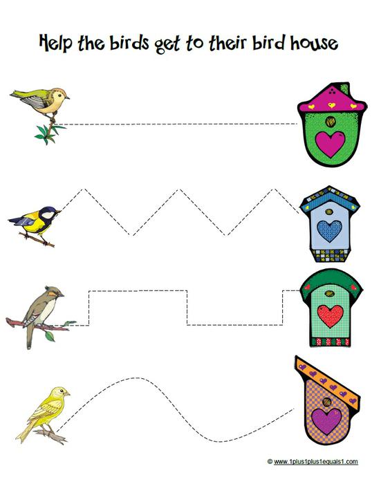 Preschool Worksheets Birds 1374029