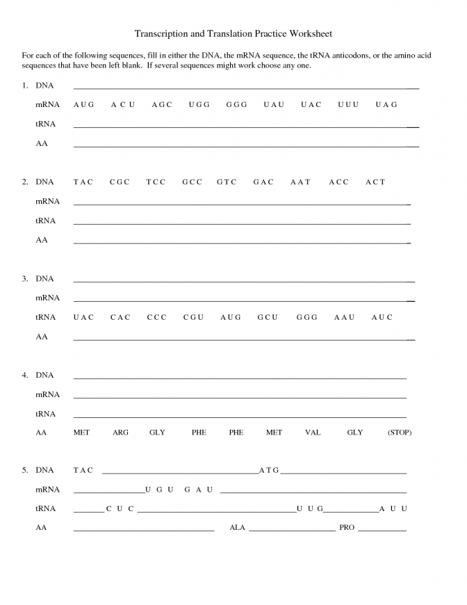 Replication Transcription And Translation Practice Worksheet
