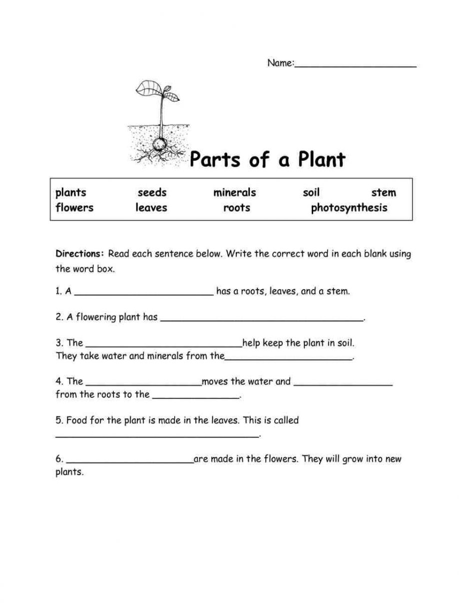 Science Worksheet For Grade 5 The Best Worksheets Image Collection