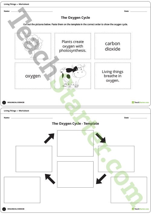 The Oxygen Cycle Free Worksheets Samples
