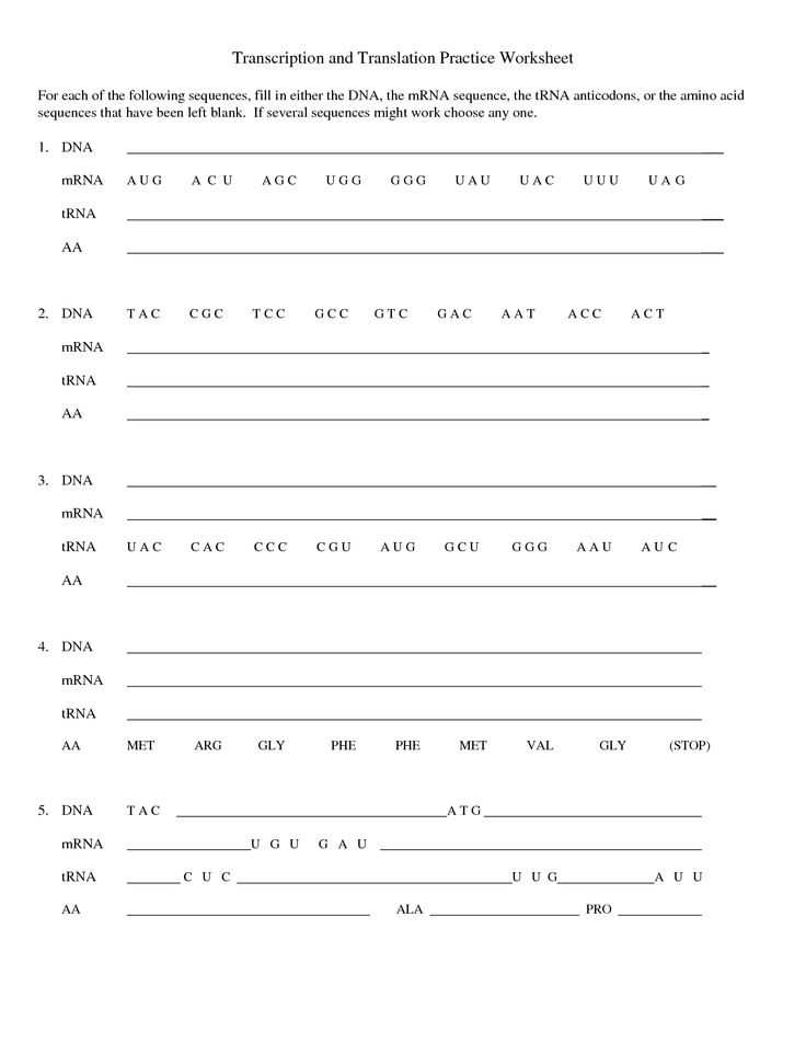 Transcription And Translation Practice Worksheets