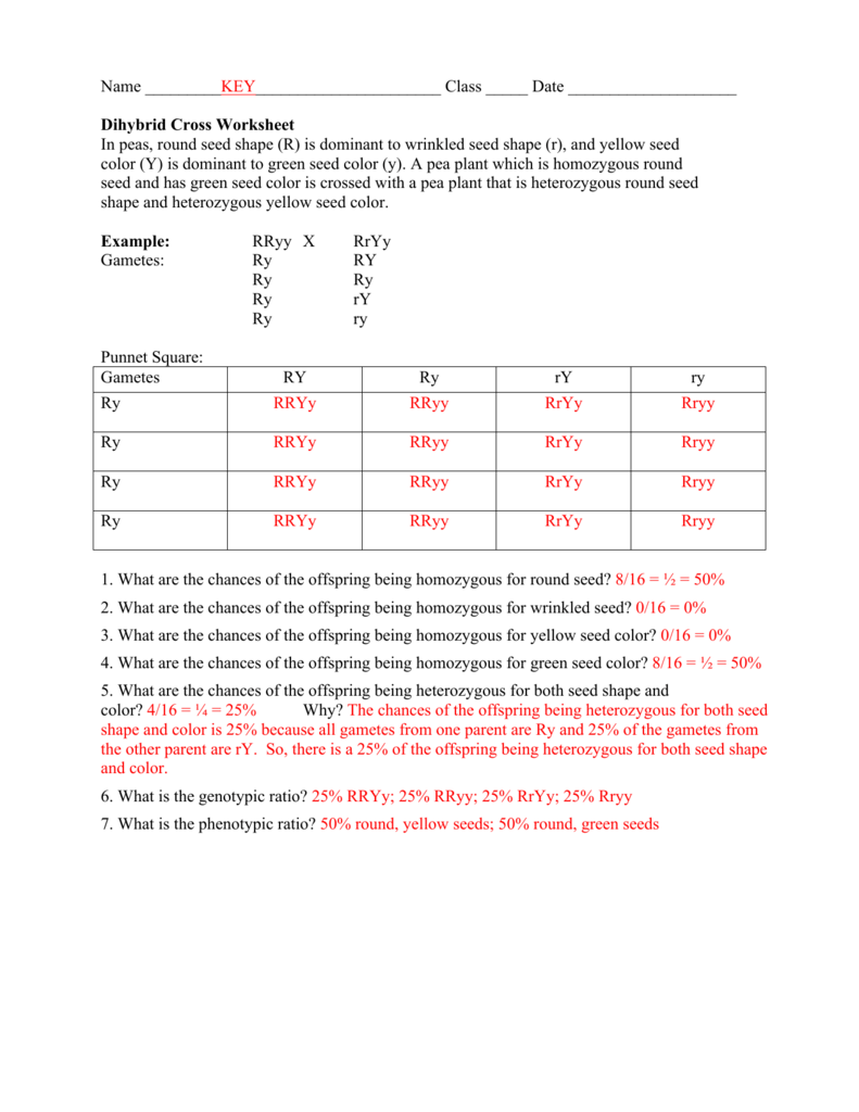 Worksheet Dihybrid Crosses Answer Key Pdf