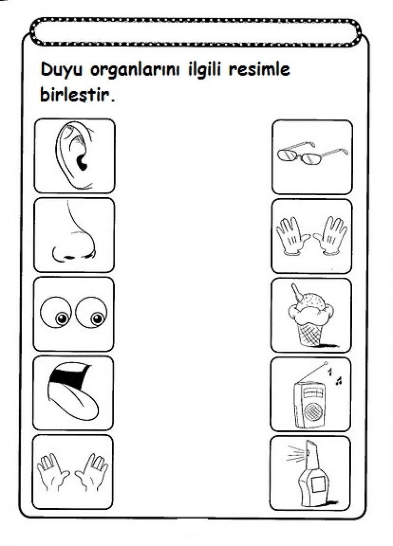 Worksheets For Kindergarten Senses 10838
