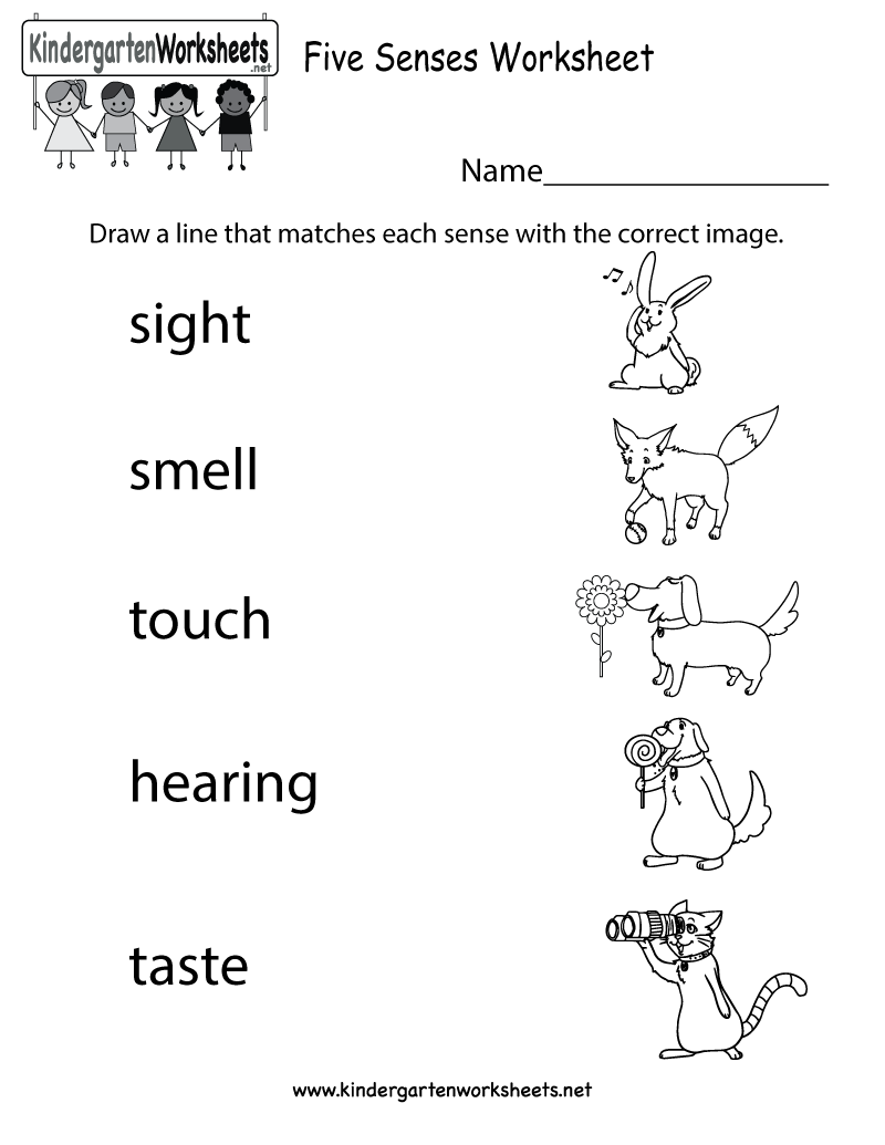 Worksheets For Preschoolers On The Five Senses 126007