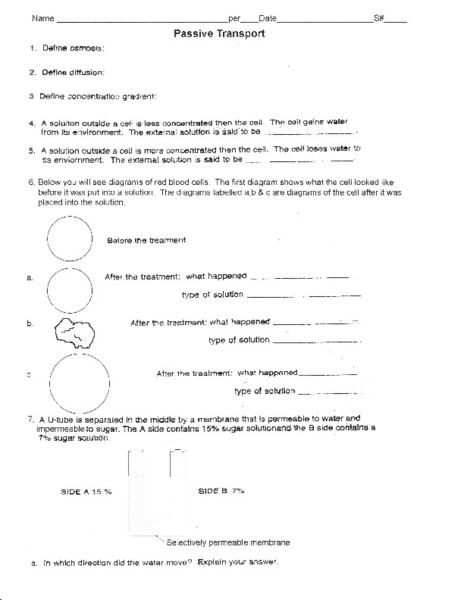 36 Passive And Active Transport Worksheet, Diffusion Osmosis And