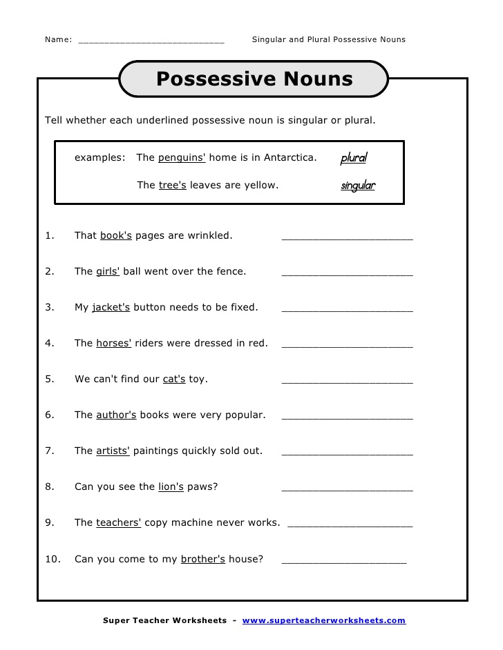 9+ Singular Possessive Noun Worksheets
