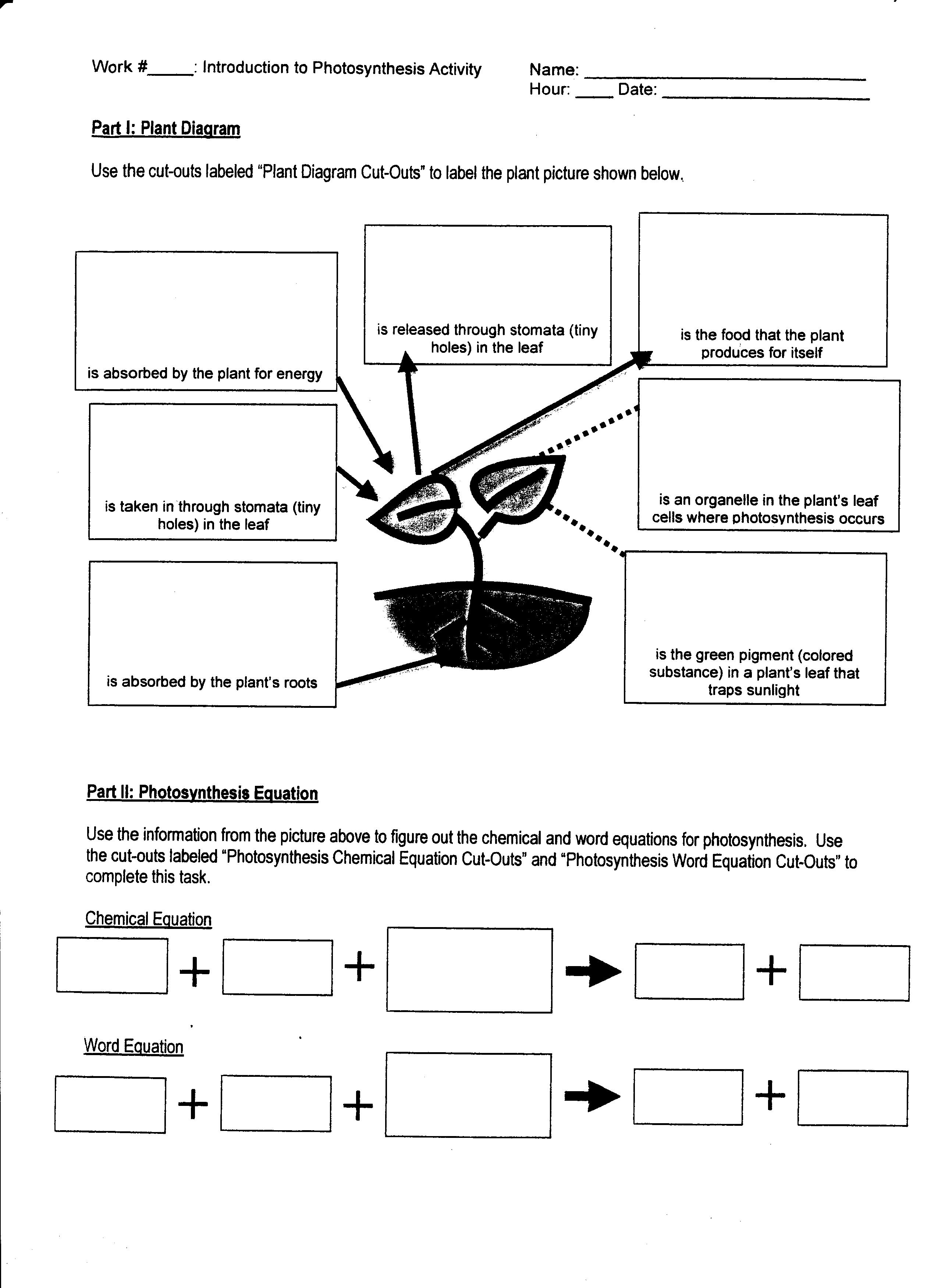 Aerobic Respiration Worksheet Abitlikethis, Cell Respiration