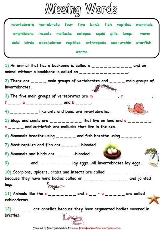 animal-classification-activity-worksheets-free-worksheets-samples