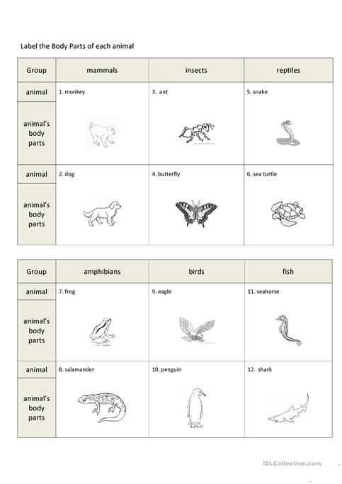 Animal Parts And Movements Worksheet