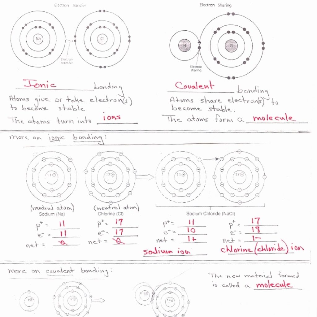 Atomic Basics Worksheet