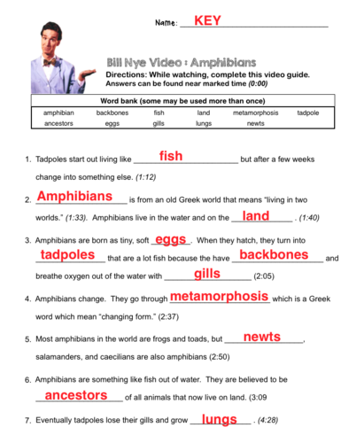 Bill Nye The Science Guy Fossils Worksheet The Best Worksheets