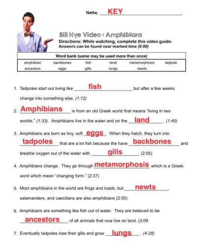 Bill Nye The Science Guy Fossils Worksheet The Best Worksheets Free