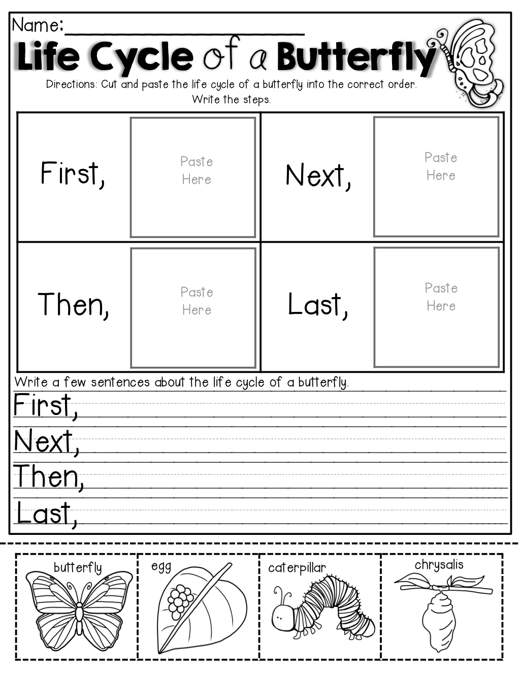 Butterfly Math Worksheets For First Grade 871272