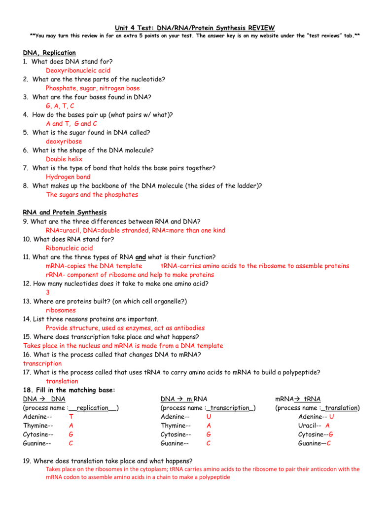 Chapter 10 Dna Rna And Protein Synthesis Worksheet 913549
