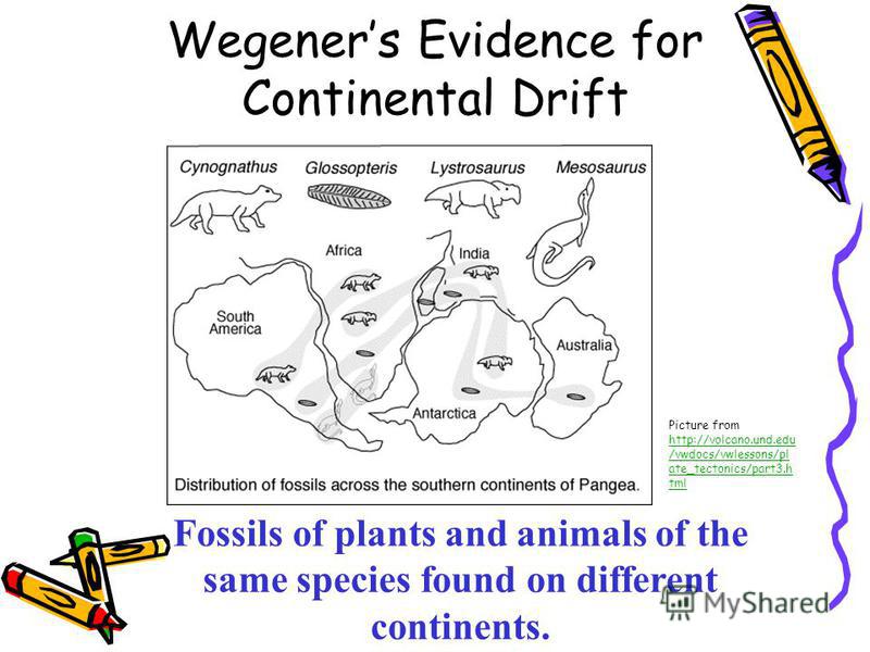 Collection Of Continental Drift Worksheets