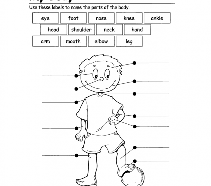 Label body parts. Body parts. Body parts раскраска. Label the parts of the body. Части тела задания для детей.