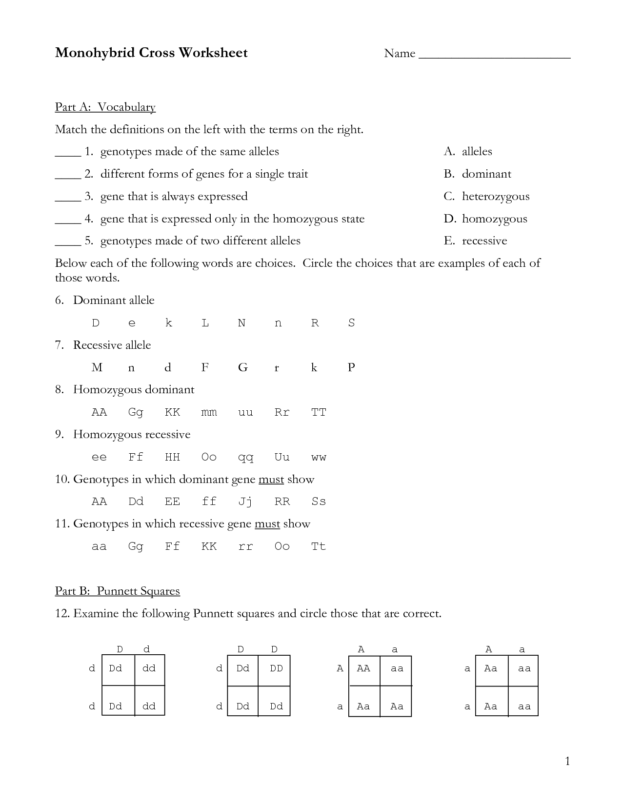 Dihybrid Cross Homework Problems Answer Key