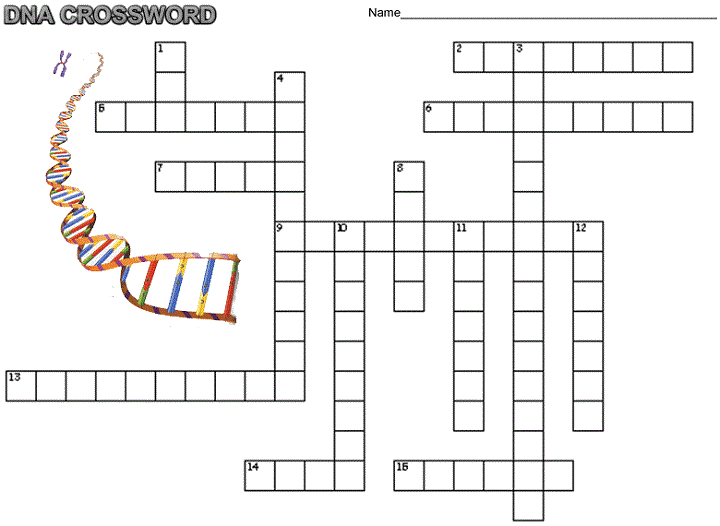 Dna Crossword