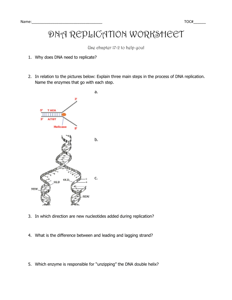 Dna Worksheet Answer Key Biology