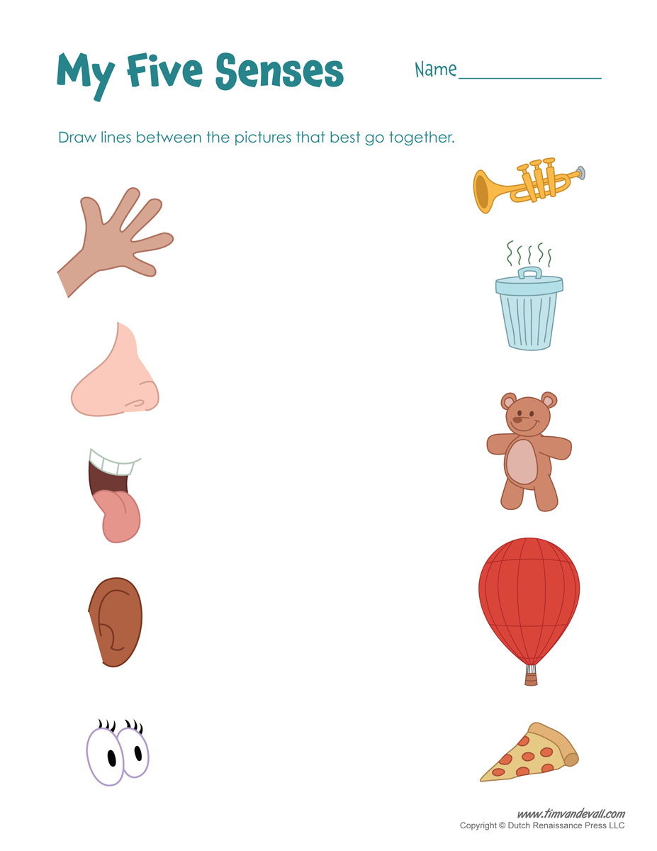 Free Printable Worksheets Kindergarten Five Senses 610897