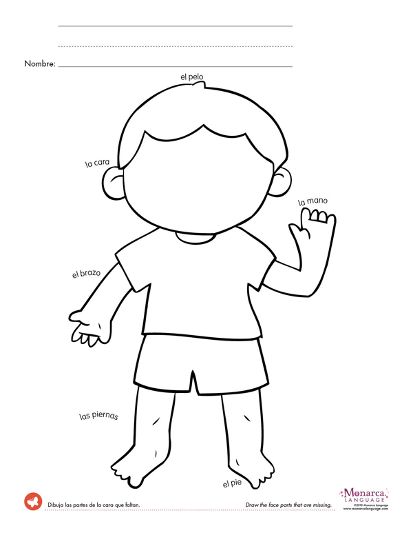 Free Printable Worksheets Preschool Body Parts 120859